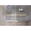 Cages vivantes humanistes de chasse d&#39;animal pour attraper des rats / vison / rongeur